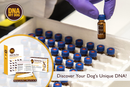 DNA MY Dog - Canine Breed Identification Test Kit (Dog DNA) for dogs - Breeds, DNA, Dog DNA, Mutt, Swab, Test