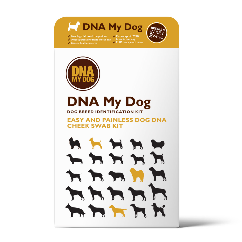DNA MY Dog Canine Breed Identification Test Kit Dog DNA for