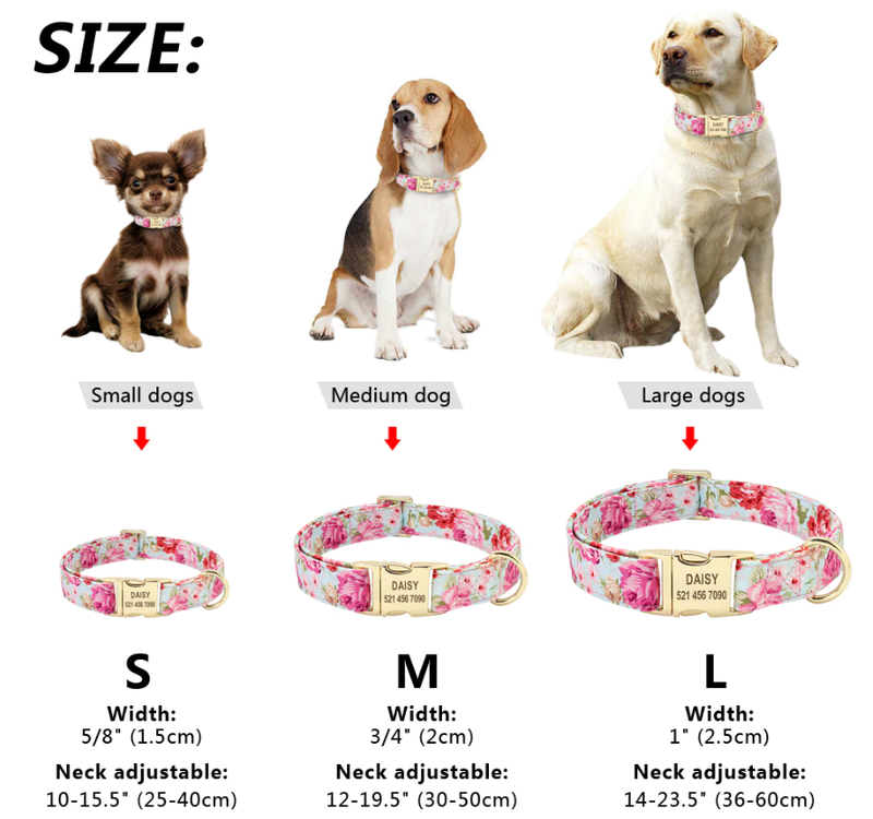 Personalized Floral Collar for dogs - __label2:HappyDog's Choice, __label:Bestseller, Collar, Coral, Custom, Engrave, Flat Buckle, Floral, Nameplate, Personal