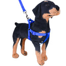 Basic Harness (No Pull) for dogs - 2 Hounds, __label:Bestseller, Adjustable, Cheap, Easy On, Harness, Low Price, No Pull, Step In, Two Hounds