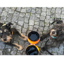 Neon Portable & Collapsible Bowls for dogs - __label:Bestseller, Bowl, Clip, Collapse, Feeder, Foldable, Food, Portable
