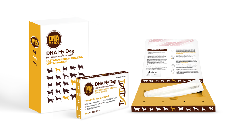 DNA MY Dog - Canine Breed Identification Test Kit (Dog DNA) for dogs - Breeds, DNA, Dog DNA, Mutt, Swab, Test