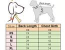 Corduroy Coat for dogs - Coat, Corduroy, Jacket, Warm