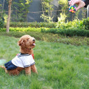 Rainbow Jingle Ball for dogs - __label:Bestseller, Ball, Bell, Chew, Chewy, Toy