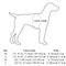 Basic Harness (No Pull) for dogs - 2 Hounds, __label:Bestseller, Adjustable, Cheap, Easy On, Harness, Low Price, No Pull, Step In, Two Hounds
