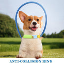 Blind Dog Anti-Collision Ring Collar for dogs - __label:Bestseller, Aid, Blind, Collar, Collision, Ring, Sight