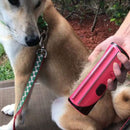 Mini Portable Hair Comb for dogs - Brush, Comb, Deshedding Brush, Grooming, Trimming