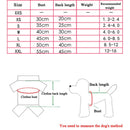 Animal Cartoon Costumes for dogs - Cartoon, Chicken, Costume, Dino, Ladybug, Owl, Tiger