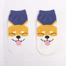 HappyDog Socks for dogs - Shiba Inu, Socks