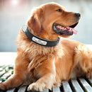 Personalized Leather Collar w/ ID Tag for dogs - Collar, Custom, Engrave, ID, Leather, Name, Number, Personal, Phone, Tag