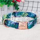 Personalized Colour Burst Custom Collar for dogs - __label2:HappyDog's Choice, __label:Bestseller, Buckle, Collar, Custom, Engrave, Flat Buckle, ID, Leash, Nameplate, Personal