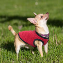 Jacket for dogs - Jacket, polar fleece, Sweater, Vest
