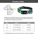 Groovy Personalized Custom Collar for dogs - __label:Bestseller, Collar, Custom, Engrave, Flat Buckle, Name, Personal, Phone