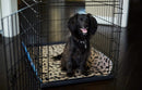 Waterproof & Reusable Sleep Pad for dogs - __label:Bestseller, Bed, Mat, Pad, Pee Pad, Puppy, Reusable, Waterproof