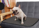 Durable & Waterproof Pee Pad for dogs - __label:Bestseller, Dog Matt, Mat, Matt, Non Slip, Pad, Pads, Pee Pad, Training, Washable, Waterproof, Whelping, Whelping Mat, Whelping Pad