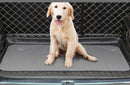 Durable & Waterproof Pee Pad for dogs - __label:Bestseller, Dog Matt, Mat, Matt, Non Slip, Pad, Pads, Pee Pad, Training, Washable, Waterproof, Whelping, Whelping Mat, Whelping Pad