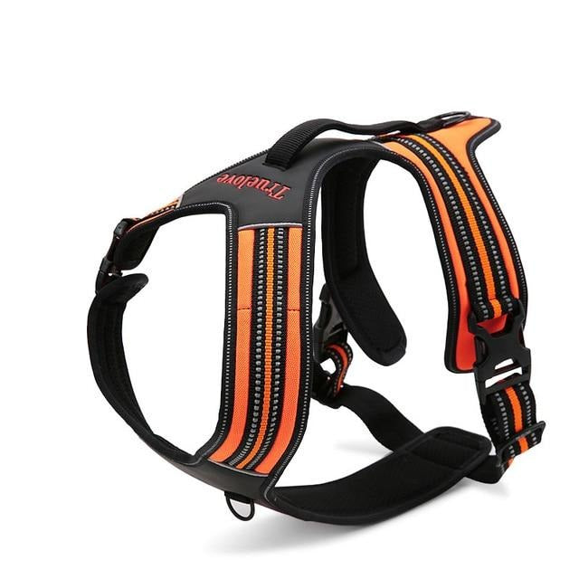Sport Harness (No-Pull) for dogs - __label:Bestseller, Collar, Easy On, Harness, No-Pull, Sport, Step In