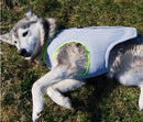 Cooling Vest for dogs - __label2:HappyDog's Choice, __label:Bestseller, Cooling, Summer, Vest