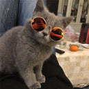 Glasses for Dogs and Cats for dogs - Cats, Dogs, Eyes, Glasses, Kittens, Puppies, Spectacles, Wearable