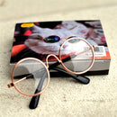 Glasses for Dogs and Cats for dogs - Cats, Dogs, Eyes, Glasses, Kittens, Puppies, Spectacles, Wearable