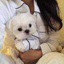 Pajamas for dogs - Night, Overall, Pajamas, PJs, Shirt, Sleep