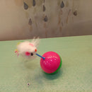 Mouse Tumbler for Cats for dogs - Cat, Kitten, Toy, Tumbler