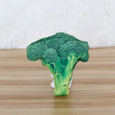Squeaky Food Chew Toys for dogs - Chicken, Squeaky, Steak, Toy