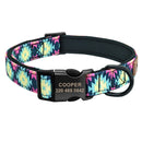 Groovy Personalized Custom Collar for dogs - __label:Bestseller, Collar, Custom, Engrave, Flat Buckle, Name, Personal, Phone