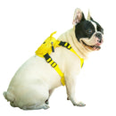 Animal Friendz Backpack Harness