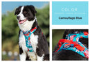 Colour Burst Harness (No Pull) for dogs - Adjust, Cool, Easy On, Harness, Neon, No Pull, Reflective, Step In
