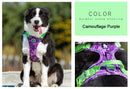 Colour Burst Harness (No Pull) for dogs - Adjust, Cool, Easy On, Harness, Neon, No Pull, Reflective, Step In