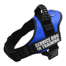 Service Dog in Training Harness (No-Pull) for dogs - __label2:HappyDog's Choice, __label:Bestseller, Custom, Easy On, Engrave, Handle, Harness, No-Pull, Personal, Reflective, Service Dog, Step In, Training, Vest