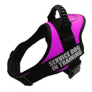 Service Dog in Training Harness (No-Pull) for dogs - __label2:HappyDog's Choice, __label:Bestseller, Custom, Easy On, Engrave, Handle, Harness, No-Pull, Personal, Reflective, Service Dog, Step In, Training, Vest