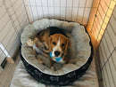 Super Comfy Plush Bed for dogs - Bed, Portable, Portable Bed, Soft, Warm