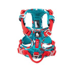 Colour Burst Harness (No Pull) for dogs - Adjust, Cool, Easy On, Harness, Neon, No Pull, Reflective, Step In