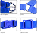 Basic Harness (No Pull) for dogs - 2 Hounds, __label:Bestseller, Adjustable, Cheap, Easy On, Harness, Low Price, No Pull, Step In, Two Hounds