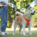 Durable Reflective Harness (No Pull) for dogs - __label:Bestseller, Easy On, Harness, No-Pull, Step In