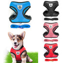 Everyday Harness - Small Dogs (No Pull) for dogs - __label2:HappyDog's Choice, __label:Bestseller, Harness, Leash, No-Pull, Vest