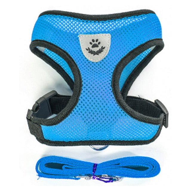 Everyday Harness - Small Dogs (No Pull) for dogs - __label2:HappyDog's Choice, __label:Bestseller, Harness, Leash, No-Pull, Vest