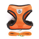 Everyday Harness - Small Dogs (No Pull) for dogs - __label2:HappyDog's Choice, __label:Bestseller, Harness, Leash, No-Pull, Vest
