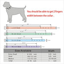 Personalized Custom Rhinestone Collar (5 Letters Only) for dogs - Collar, Custom, Engrave, Engraving, ID, Name, Personalized, Phone Number