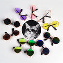 Glasses for Dogs and Cats for dogs - Cats, Dogs, Eyes, Glasses, Kittens, Puppies, Spectacles, Wearable