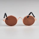 Glasses for Dogs and Cats for dogs - Cats, Dogs, Eyes, Glasses, Kittens, Puppies, Spectacles, Wearable