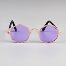 Glasses for Dogs and Cats for dogs - Cats, Dogs, Eyes, Glasses, Kittens, Puppies, Spectacles, Wearable