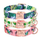 Personalized Colour Burst Custom Collar for dogs - __label2:HappyDog's Choice, __label:Bestseller, Buckle, Collar, Custom, Engrave, Flat Buckle, ID, Leash, Nameplate, Personal