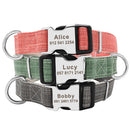 Personalized Colour Burst Custom Collar for dogs - __label2:HappyDog's Choice, __label:Bestseller, Buckle, Collar, Custom, Engrave, Flat Buckle, ID, Leash, Nameplate, Personal