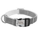 Personalized Colour Burst Custom Collar for dogs - __label2:HappyDog's Choice, __label:Bestseller, Buckle, Collar, Custom, Engrave, Flat Buckle, ID, Leash, Nameplate, Personal