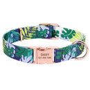 Personalized Colour Burst Custom Collar for dogs - __label2:HappyDog's Choice, __label:Bestseller, Buckle, Collar, Custom, Engrave, Flat Buckle, ID, Leash, Nameplate, Personal
