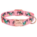 Personalized Colour Burst Custom Collar for dogs - __label2:HappyDog's Choice, __label:Bestseller, Buckle, Collar, Custom, Engrave, Flat Buckle, ID, Leash, Nameplate, Personal