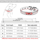 Classic Personalized Custom Collar for dogs - __label2:HappyDog's Choice, __label:Bestseller, Buckle, Collar, Custom, Engrave, ID, Name, Personal, Phone, Tag